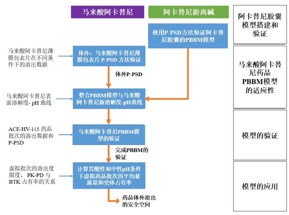 建模文章解读 | 采用PBBM模型制定马来酸阿卡替尼片的药品溶出标准