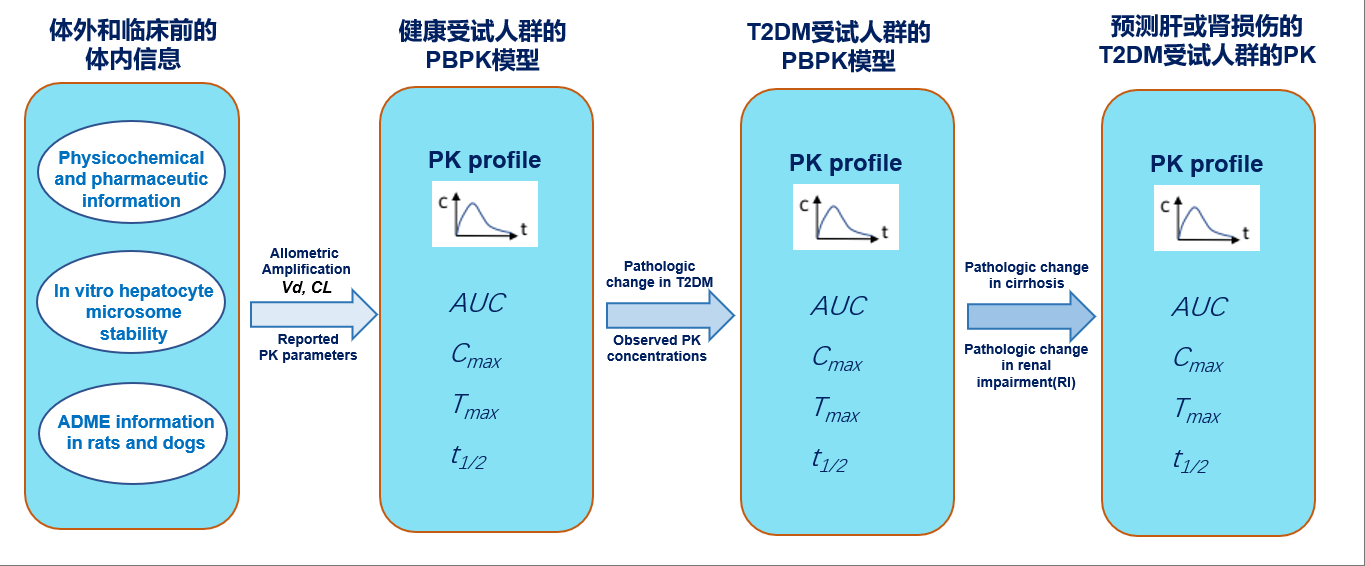 文章推荐 | 基于PBPK 模型预测加格列净在伴有肝硬化或肾损害的Ⅱ型糖尿病患者中的药动学特征